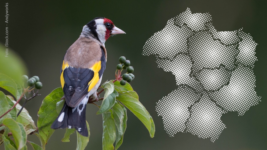 Fortschreiben des Biotopkatasters im Kreis Paderborn Foto: iStock.com - Andyworks